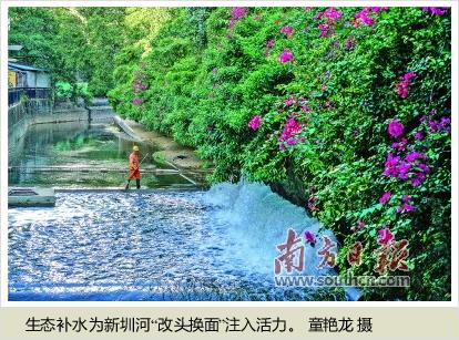 水污染治理助宝安生态环境旧貌换新颜